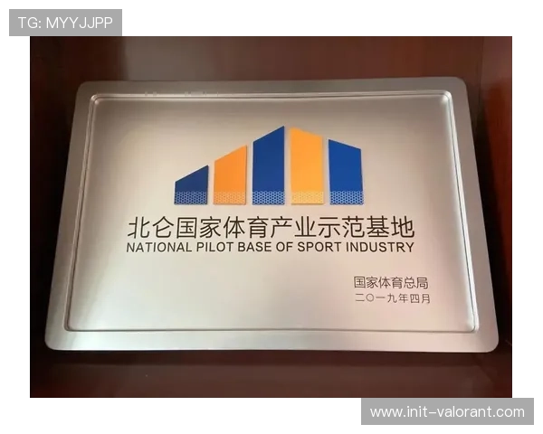 国际赛事落地法国，推动体育产业新发展契机